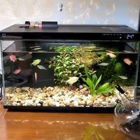 龍魚老孫的水族用品店有評價嗎（龍魚老孫的水族用品店是否有評價）
