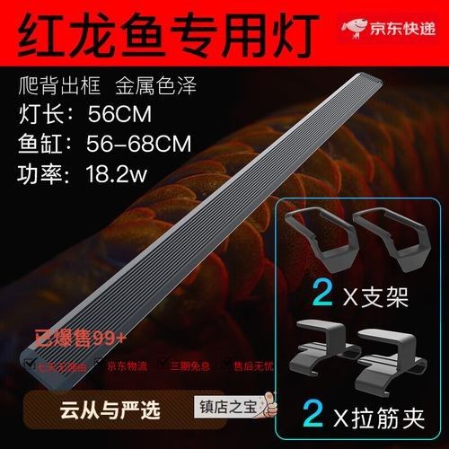 烤色紅龍魚(yú)的價(jià)格一般是多少？（烤色紅龍魚(yú)的價(jià)格）