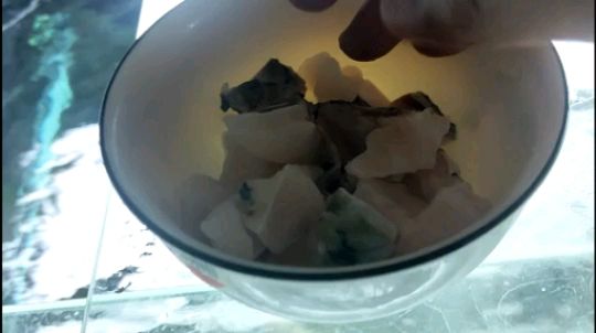 一波喂食（一波喂食的概念） 一波喂食（一波喂食的概念） 觀賞魚百科