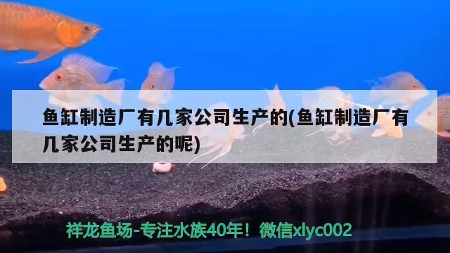 魚缸制造廠有幾家公司生產的(魚缸制造廠有幾家公司生產的呢)（森森水族箱制造廠）