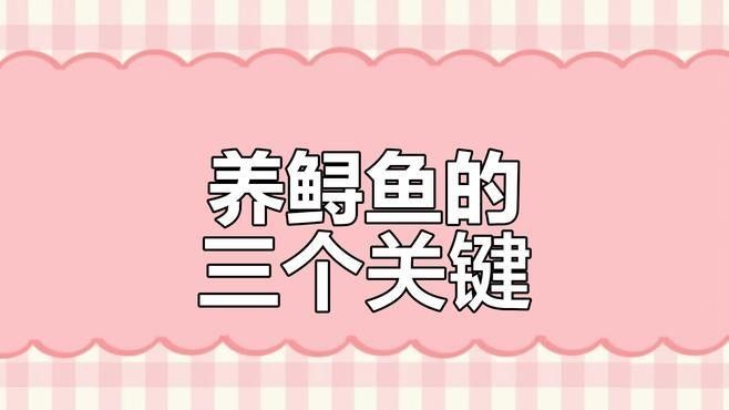 哪些因素會影響鱘龍魚的生長（影響鱘龍魚生長的因素）
