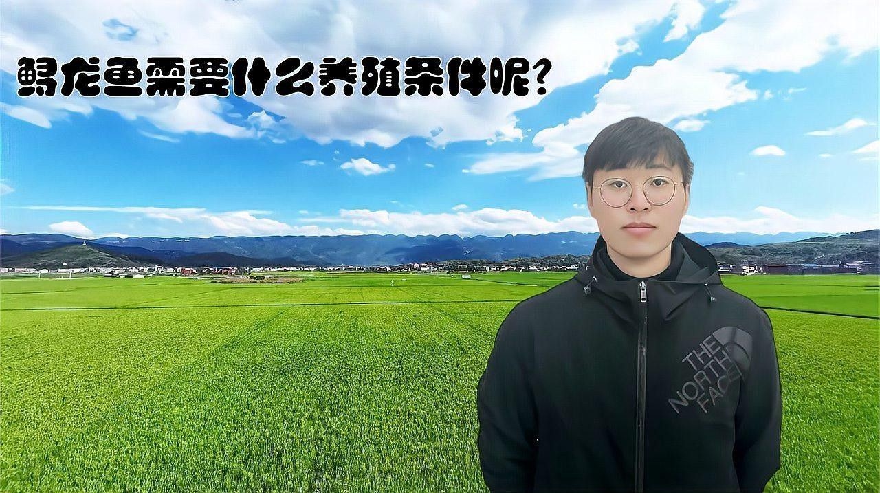 哪些因素會影響鱘龍魚的生長（影響鱘龍魚生長的因素）