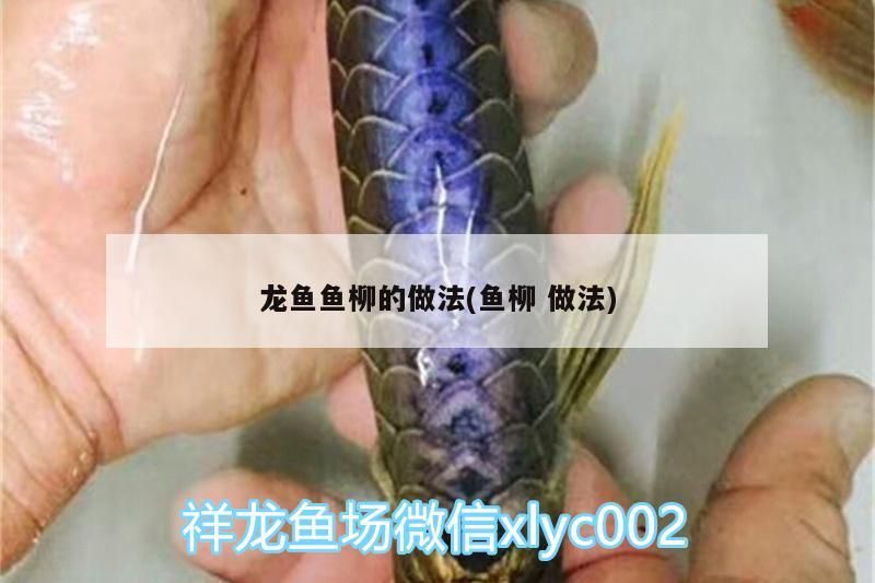龍魚魚柳的做法(魚柳做法)（龍魚魚柳的做法）