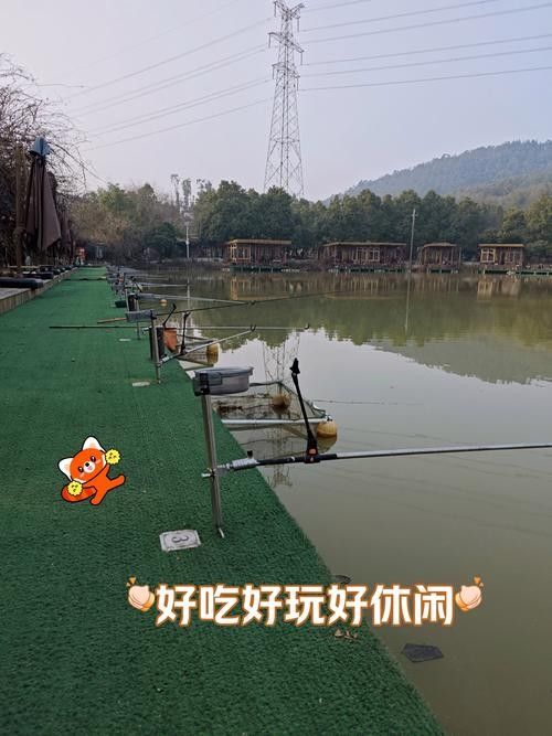 龍魚垂釣園的收費標準（龍魚垂釣園收費標準）