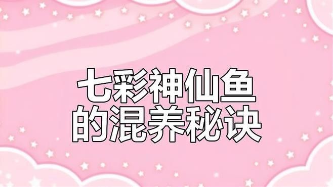 哪些魚適合與七彩神仙魚混養(yǎng)（七彩神仙魚的單養(yǎng)與混養(yǎng)） 哪些魚適合與七彩神仙魚混養(yǎng)（七彩神仙魚的單養(yǎng)與混養(yǎng)） 龍魚百科 第2張