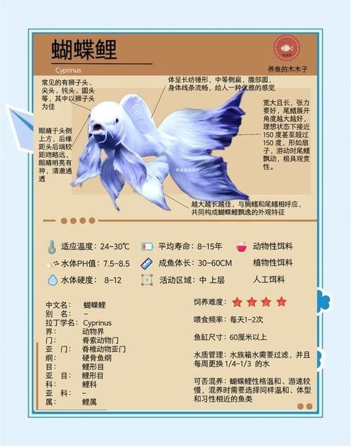 蝴蝶鯉和龍魚哪個更好養（蝴蝶鯉和龍魚哪個好養）