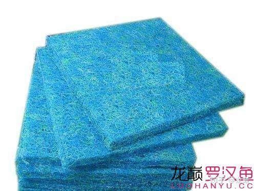 龍魚濾材有哪些種類（常見的龍魚濾材種類及其特點）