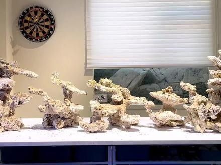 鑫海龍魚缸有哪些型號(hào)？（鑫海龍魚缸哪個(gè)型號(hào)適合新手）