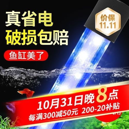 龍魚(yú)燈什么品牌好？（龍魚(yú)燈品牌及其特點(diǎn)：**金龍魚(yú)*）