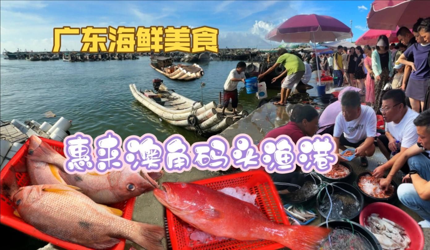 惠來漁港（廣東揭陽惠來漁港最佳旅游季節是什么時候惠來漁港有哪些特色海鮮） 惠來漁港（廣東揭陽惠來漁港最佳旅游季節是什么時候惠來漁港有哪些特色海鮮） 觀賞魚百科