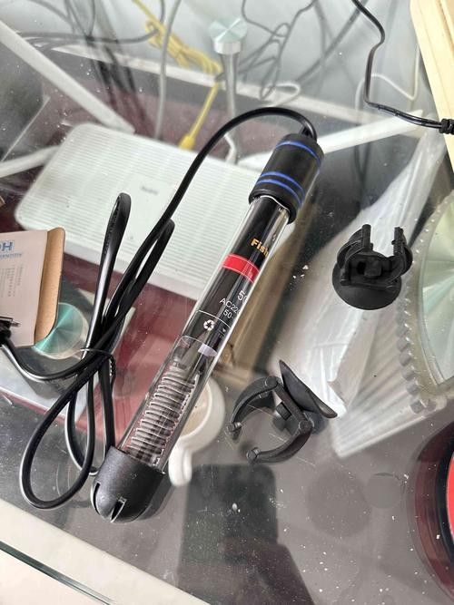 龍魚晚上關(guān)燈后多久會適應(yīng)，如何判斷龍魚是否適應(yīng)了黑暗環(huán)境？ 龍魚晚上關(guān)燈后多久會適應(yīng)，如何判斷龍魚是否適應(yīng)了黑暗環(huán)境？ 龍魚百科 第1張