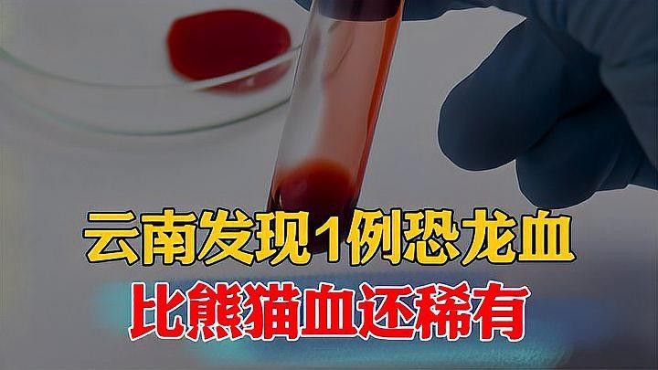 巴卡二型和一型哪個更稀有（巴卡二型和一型是兩種不同的鳥類，它們在自然界中的數量和稀有程度有所不同）