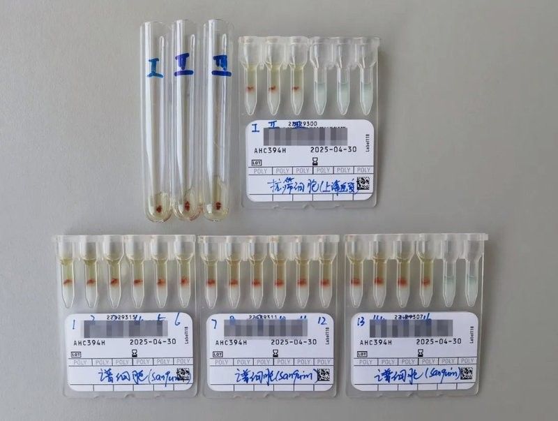 巴卡二型和一型哪個更稀有（巴卡二型和一型是兩種不同的鳥類，它們在自然界中的數量和稀有程度有所不同）