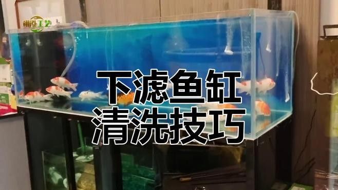 清洗底濾魚缸濾材有哪些注意事項？（養(yǎng)魚大全，不可不知的清洗和更換，你曉得嗎）