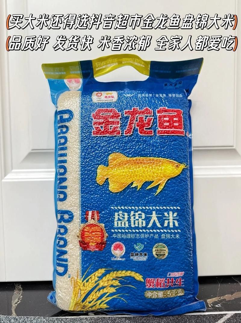 金龍魚(yú)的食物有哪些（金龍魚(yú)吃什么最好）