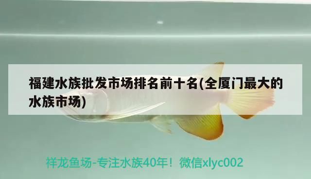 魚缸用增氧泵價(jià)格是多少:魚缸增氧機(jī)-xtrac增氧機(jī)-xtrac增氧機(jī) 福建水族批發(fā)市場(chǎng)排名前十名(全廈門最大的水族市場(chǎng))(水族批發(fā)市場(chǎng)排名前十名) 觀賞魚百科 福建水族批發(fā)市場(chǎng)排名前十名(全廈門最大的水族市場(chǎng))(水族批發(fā)市場(chǎng)排名前十名) 福建水族批發(fā)市場(chǎng)排名前十名(全廈門最大的水族市場(chǎng))(水族批發(fā)市場(chǎng)排名前十名) 觀賞魚百科