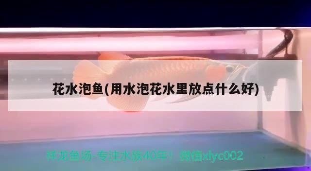 花水泡魚(用水泡花水里放點什么好)