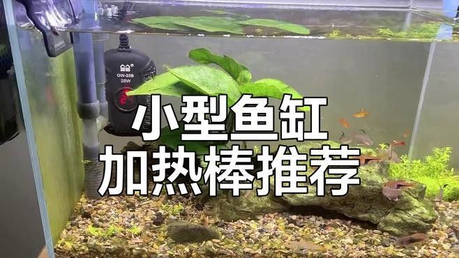 森森加熱棒有哪些型號（森森加熱棒型號及其特點及選擇指南）