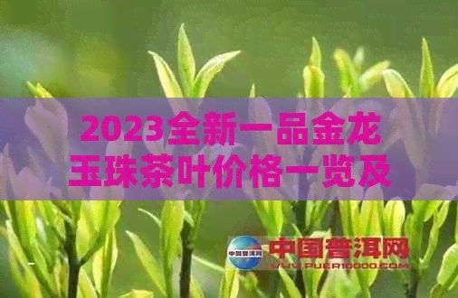 金龍系列茶葉有哪些熱門產品（金龍系列茶葉以其獨特的品質和口感在市場上贏得了廣泛的好評）