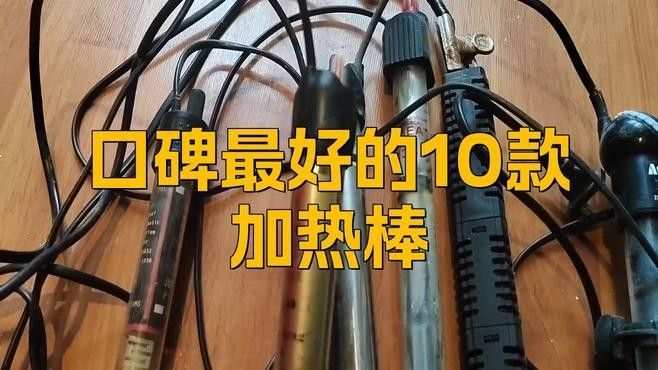 彩虹雷龍魚好養嗎怎么養（彩虹雷龍魚能養多大）（七彩雷龍魚好養嗎） 彩虹雷龍魚好養嗎怎么養（彩虹雷龍魚能養多大）（七彩雷龍魚好養嗎） 觀賞魚百科 第2張