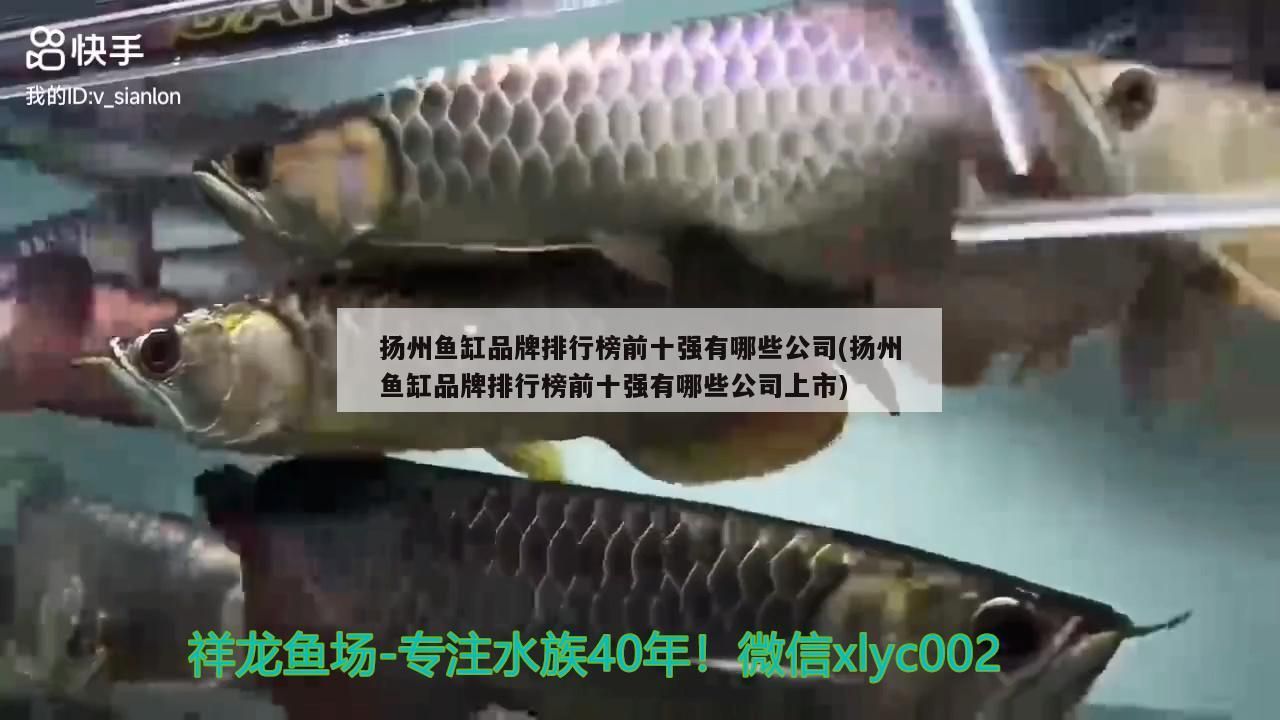揚州魚缸品牌排行榜前十強有哪些公司(揚州魚缸品牌排行榜前十強有哪些公司上市)（揚州魚缸品牌排行榜前十強）