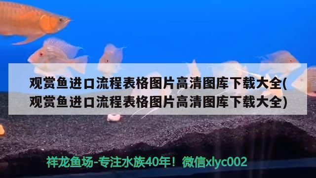 生態魚缸選擇哪個牌子的魚缸性價比高，2020年度中國生態魚缸行業十大品牌品牌榜單第一名