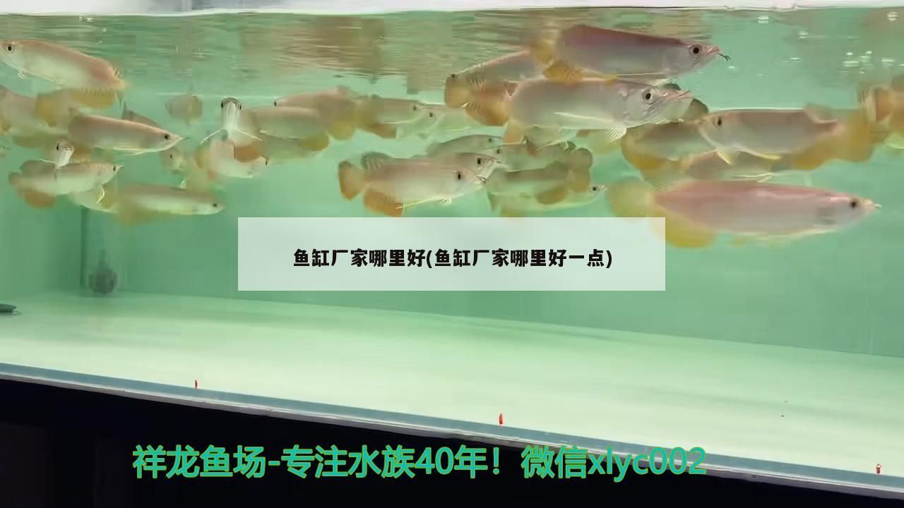 魚缸廠家哪里好(魚缸廠家哪里好一點)（魚缸什么牌子的質(zhì)量好）