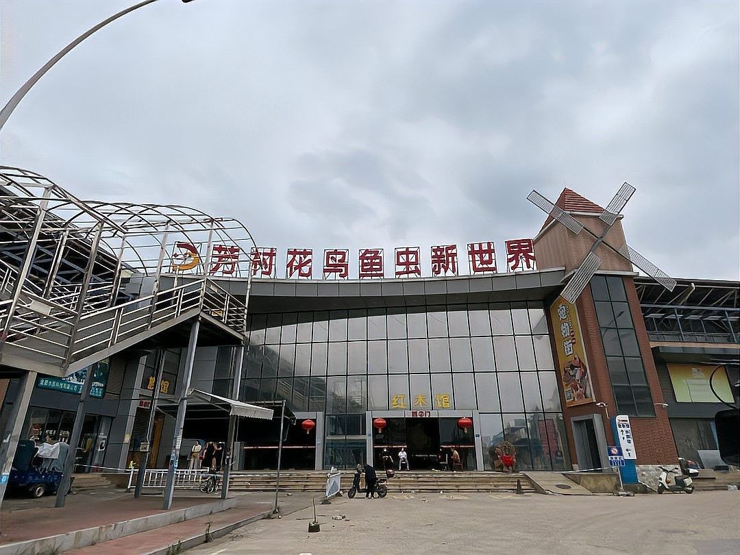 花地灣花鳥魚蟲市場有哪些商戶？（廣州花地灣花鳥魚蟲市場）