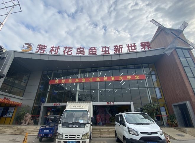 花地灣花鳥魚蟲市場有哪些商戶？（廣州花地灣花鳥魚蟲市場）