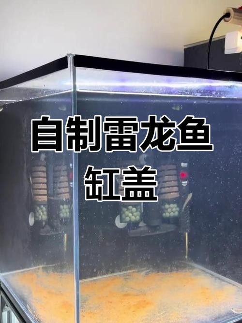 雷龍魚缸蓋子需要多大？（雷龍魚缸蓋子尺寸）