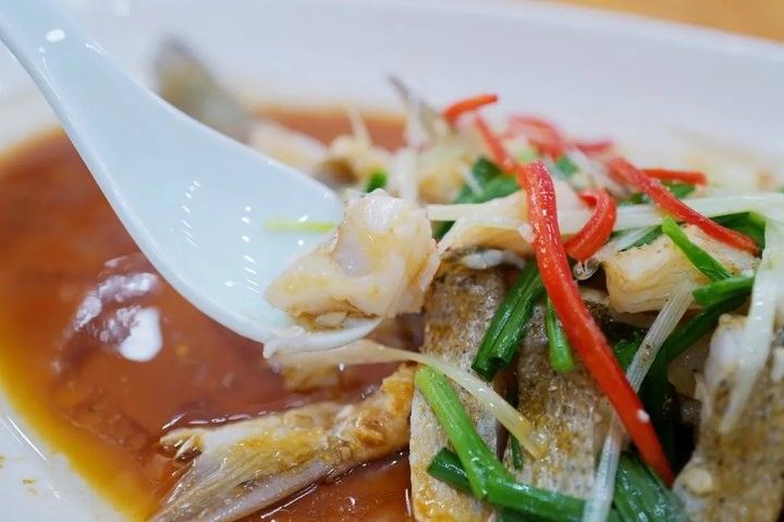 杭州龍魚批發市場的營業時間（杭州龍魚批發市場營業時間通常為每天9:00至下午6:00） 杭州龍魚批發市場的營業時間（杭州龍魚批發市場營業時間通常為每天9:00至下午6:00） 龍魚百科 第1張