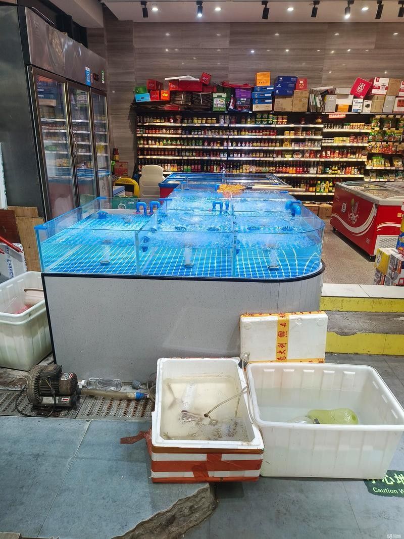 杭州龍魚批發市場的營業時間（杭州龍魚批發市場營業時間通常為每天9:00至下午6:00） 杭州龍魚批發市場的營業時間（杭州龍魚批發市場營業時間通常為每天9:00至下午6:00） 龍魚百科 第5張