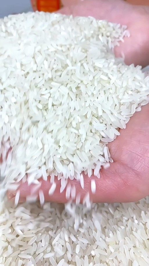 如何辨別金龍魚軟香米真偽 龍魚百科 第12張 如何辨別金龍魚軟香米真偽 如何辨別金龍魚軟香米真偽 龍魚百科 第12張