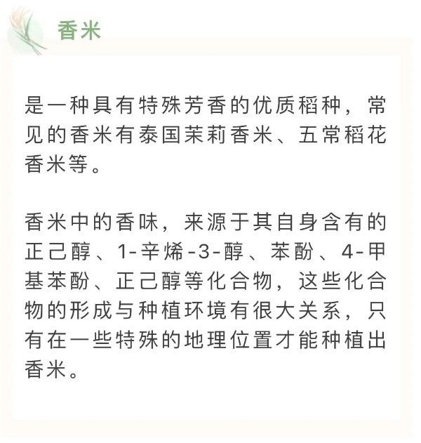 如何辨別金龍魚軟香米真偽 如何辨別金龍魚軟香米真偽 龍魚百科 第16張