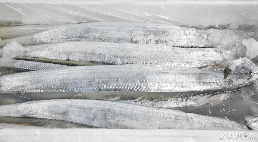 高鰭龍魚的圖片有嗎（高鰭龍魚的圖片） 高鰭龍魚的圖片有嗎（高鰭龍魚的圖片） 龍魚百科 第18張
