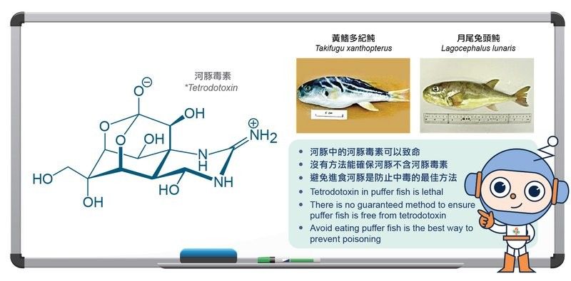 龍魚死亡后哪些部分有毒（龍魚死亡后多久開始產生毒素，）