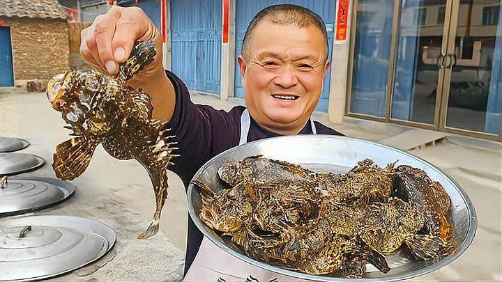 水虎魚和龍魚的食物有哪些