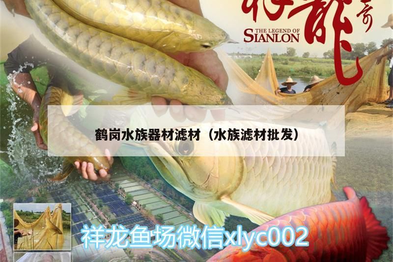 鶴崗水族器材濾材（水族濾材批發）（鶴崗水族器材濾材批發）