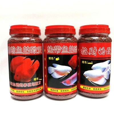 魚缸過濾器選購指南:自制魚缸過濾器魚缸上置過濾器對于養魚愛好者的必備知識 紅龍魚吃什么蝦最好吃(紅龍魚吃什么蝦最好吃呢)(紅龍魚吃什么蝦最好吃) 觀賞魚百科 紅龍魚吃什么蝦最好吃(紅龍魚吃什么蝦最好吃呢)(紅龍魚吃什么蝦最好吃) 紅龍魚吃什么蝦最好吃(紅龍魚吃什么蝦最好吃呢)(紅龍魚吃什么蝦最好吃) 觀賞魚百科