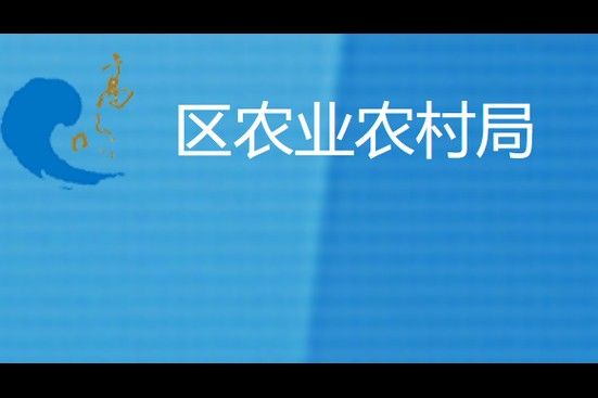 如何聯(lián)系佛山高明區(qū)農(nóng)業(yè)農(nóng)村局（佛山市高明區(qū)農(nóng)業(yè)農(nóng)村局如何聯(lián)系高明區(qū)農(nóng)業(yè)農(nóng)村局） 如何聯(lián)系佛山高明區(qū)農(nóng)業(yè)農(nóng)村局（佛山市高明區(qū)農(nóng)業(yè)農(nóng)村局如何聯(lián)系高明區(qū)農(nóng)業(yè)農(nóng)村局） 龍魚百科 第1張