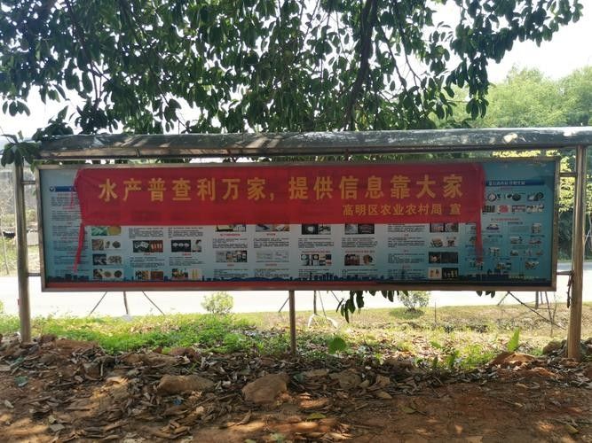 如何聯(lián)系佛山高明區(qū)農(nóng)業(yè)農(nóng)村局（佛山市高明區(qū)農(nóng)業(yè)農(nóng)村局如何聯(lián)系高明區(qū)農(nóng)業(yè)農(nóng)村局） 如何聯(lián)系佛山高明區(qū)農(nóng)業(yè)農(nóng)村局（佛山市高明區(qū)農(nóng)業(yè)農(nóng)村局如何聯(lián)系高明區(qū)農(nóng)業(yè)農(nóng)村局） 龍魚百科 第5張