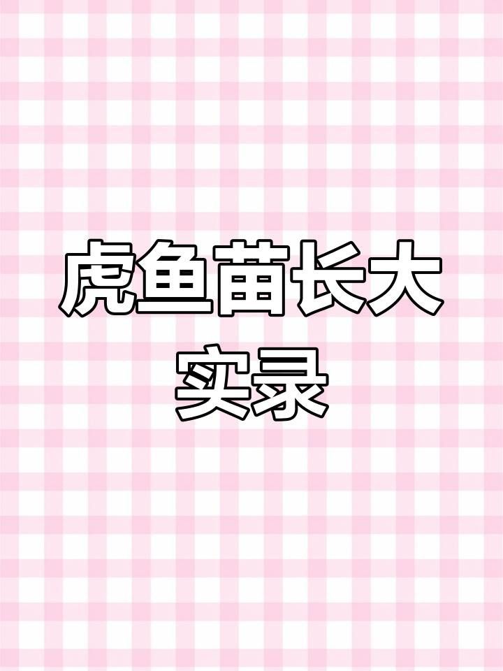 印尼虎魚苗好養嗎（印尼虎魚苗的養護方法是什么，印尼虎魚苗的養護難度）