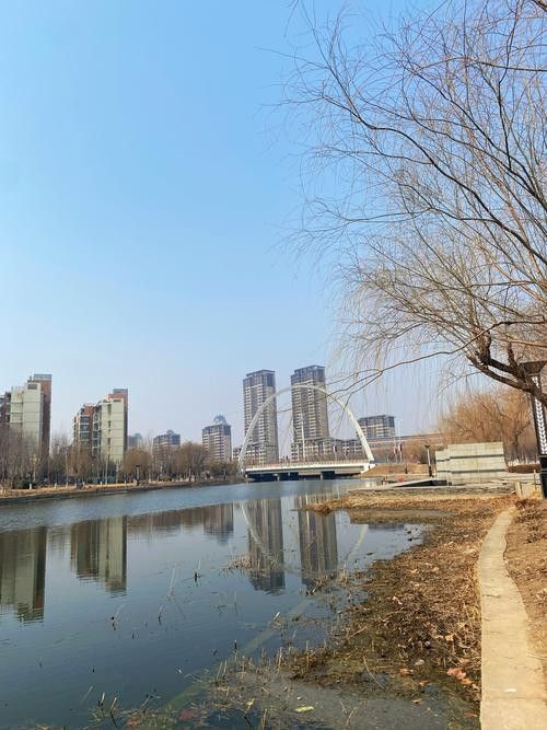 漢沽哪個(gè)水族館龍魚(yú)好？祥龍魚(yú)場(chǎng)龍魚(yú)（廣州龍魚(yú)祥龍魚(yú)場(chǎng)）