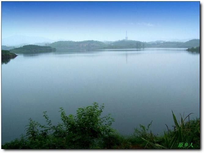 漢沽哪個水族館龍魚好？祥龍魚場龍魚（廣州龍魚祥龍魚場）