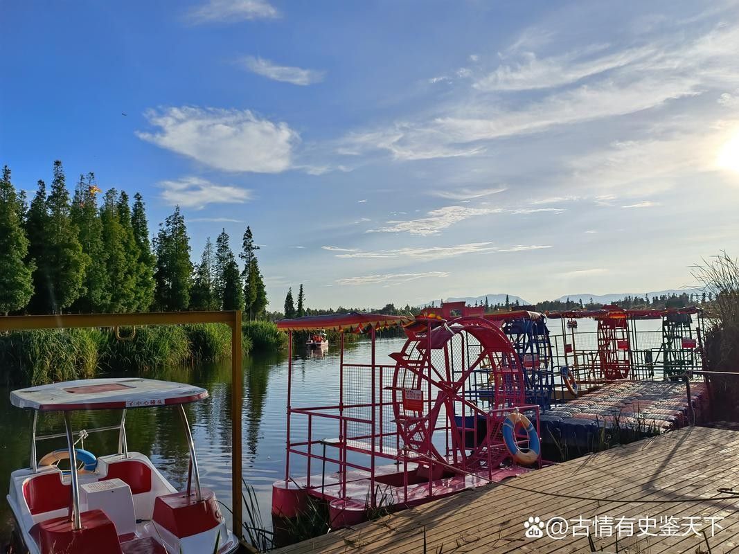 漢沽哪個水族館龍魚好？祥龍魚場龍魚（廣州龍魚祥龍魚場）