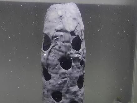 龍魚腸胃病怎么處理（處理龍魚腸胃病需要采取綜合措施，以下是一些建議） 龍魚腸胃病怎么處理（處理龍魚腸胃病需要采取綜合措施，以下是一些建議） 觀賞魚百科 第8張