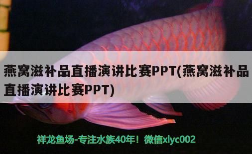 燕窩滋補品直播演講比賽PPT(燕窩滋補品直播演講比賽PPT)（燕窩滋補品直播-燕窩滋補品直播演講比賽ppt參考資料）