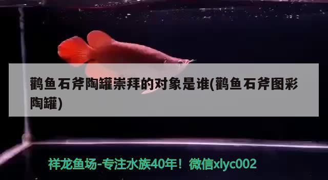 鸛魚石斧陶罐崇拜的對象是誰(鸛魚石斧圖彩陶罐) 鸛魚石斧陶罐崇拜的對象是誰(鸛魚石斧圖彩陶罐) 觀賞魚百科