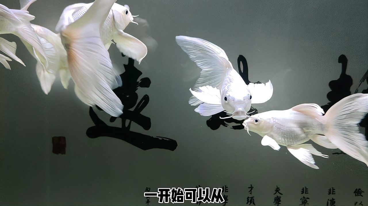 換水時應該多久監測一次水質參數（\