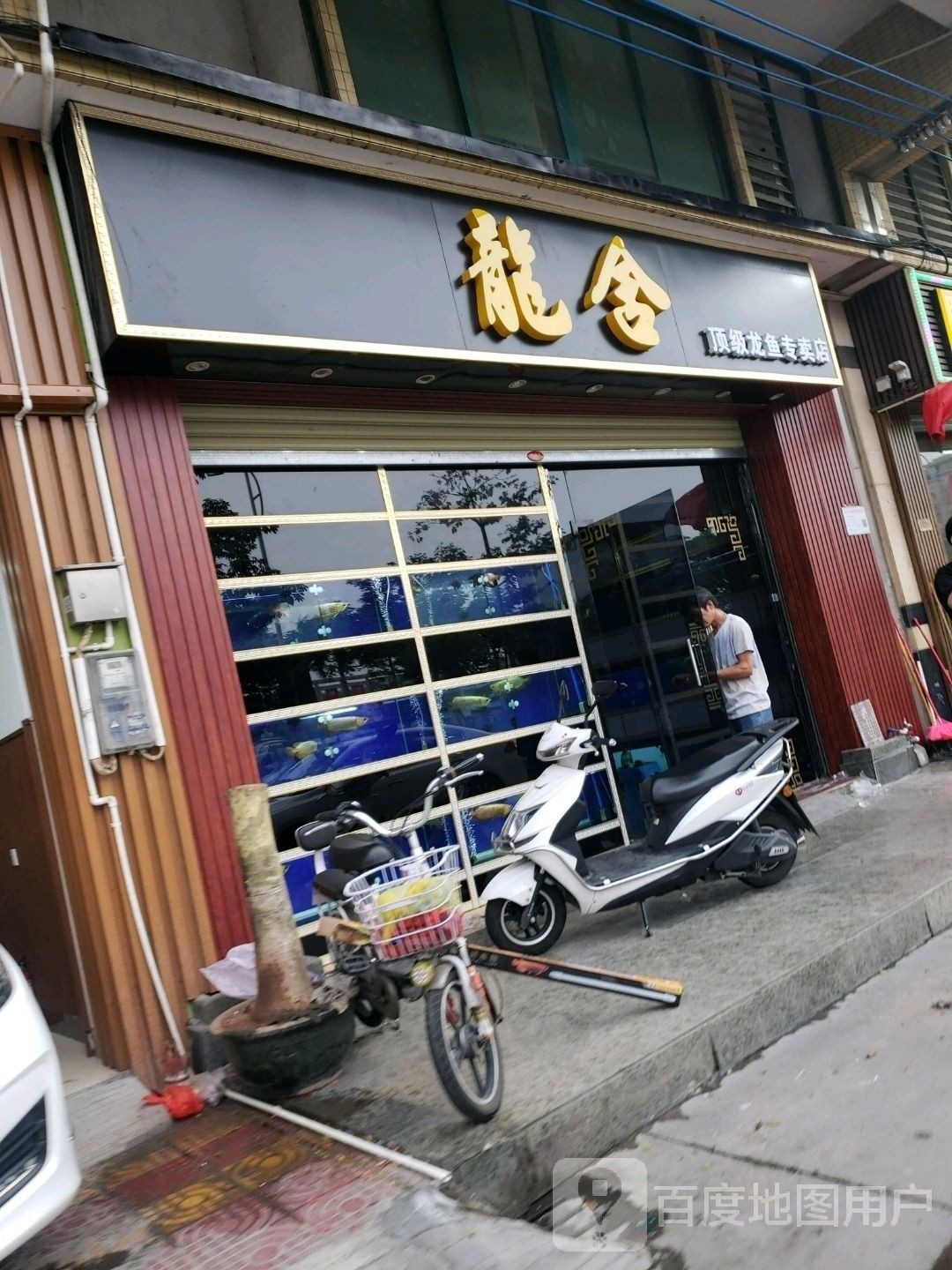 佛山哪個水族館龍魚好？祥龍魚場龍魚